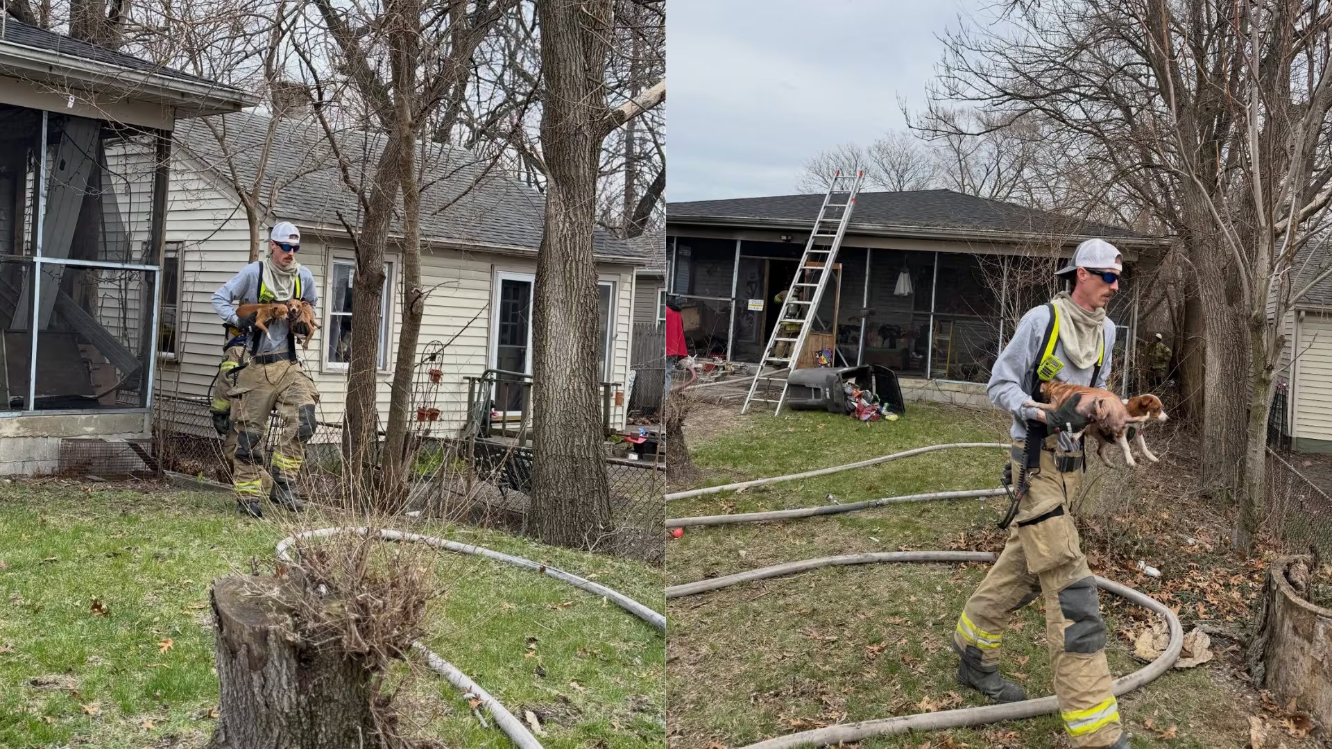 Los Departamentos de Bomberos actuaron con rapidez para salvar a los animales atrapados (Facebook: Hobart Fire Department).