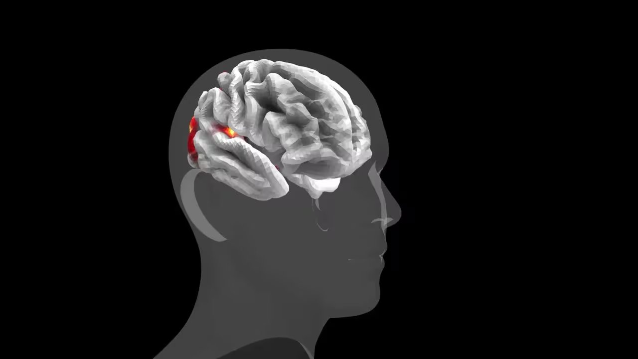 El modelo alcanza una correlación casi dos veces superior a la de cualquier sujeto individual al predecir la respuesta cerebral promedio del grupo (X: @AIatMeta)