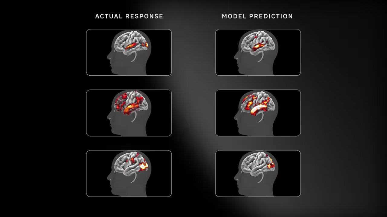TRIBE v2 opera con una resolución de 70.000 vóxeles cerebrales, superando por amplio margen los 1.000 utilizados en modelos anteriores de neurociencia computacional (X: @AIatMeta)