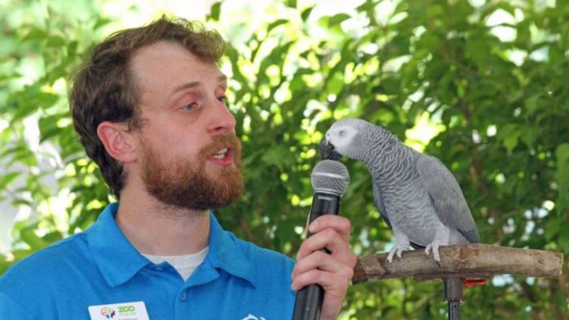 Einstein era considerado 