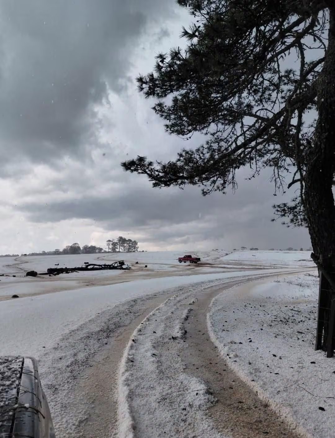 Foto: Facebook/PantanalMx