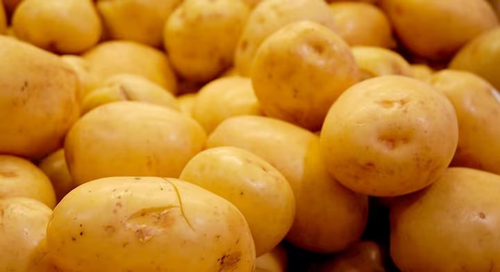 (Secretaría de Agricultura y Desarrollo Rural)