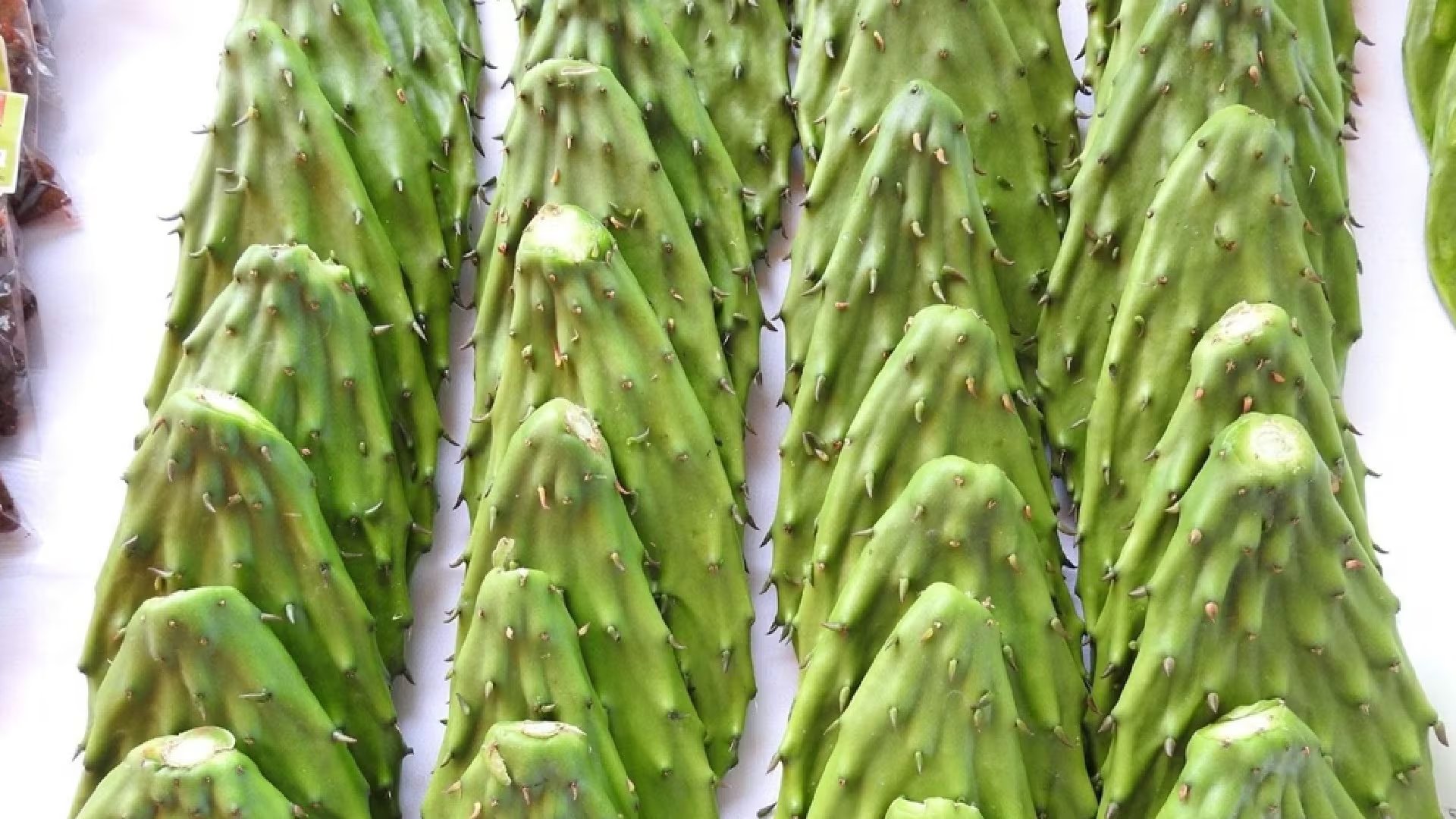 El nopal proporciona vitaminas C y A, además de calcio, potasio y magnesio, claves para la inmunidad y huesos fuertes. - (Gob. Edomex)