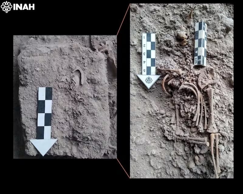 Investigaciones recientes del INAH documentan la presencia de cihuapipiltin, mujeres consideradas sagradas tras morir en el alumbramiento, a partir de hallazgos funerarios en el Centro Cultural Universitario Tlatelolco. (INAH)