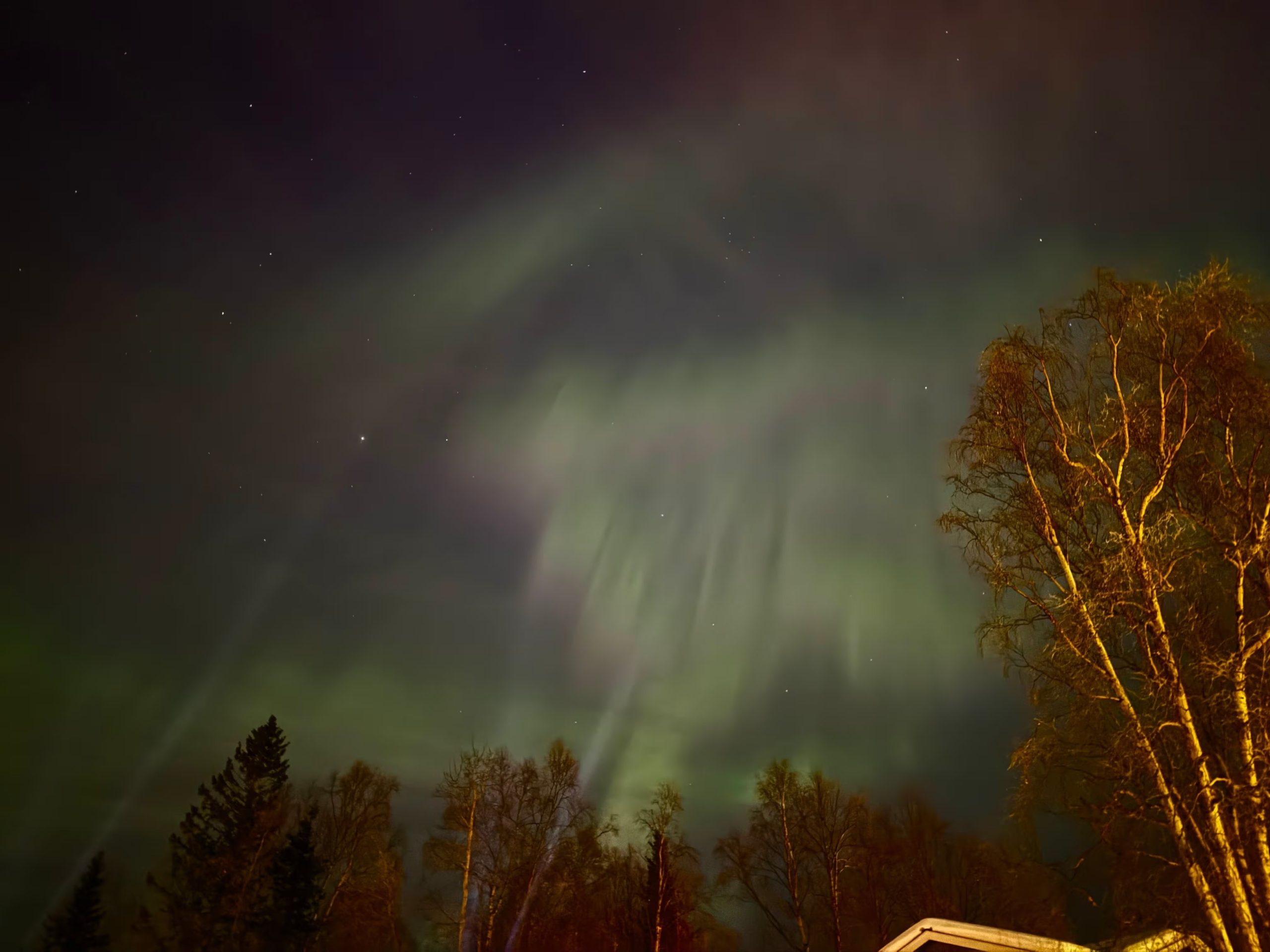 La aurora boreal ilumina el cielo de Anchorage, Alaska, el martes 20 de enero de 2026 (AP Foto/Mark Thiessen)
