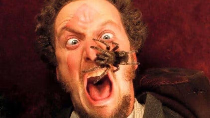 Daniel Stern le arrebató el personaje de Marv a Tim Curry. (Captura de video)