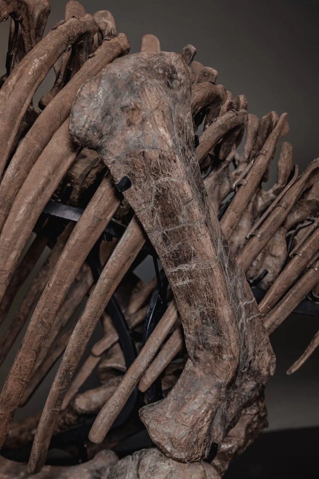 La pieza restaurada en Alemania permaneció tres décadas en un museo estadounidense