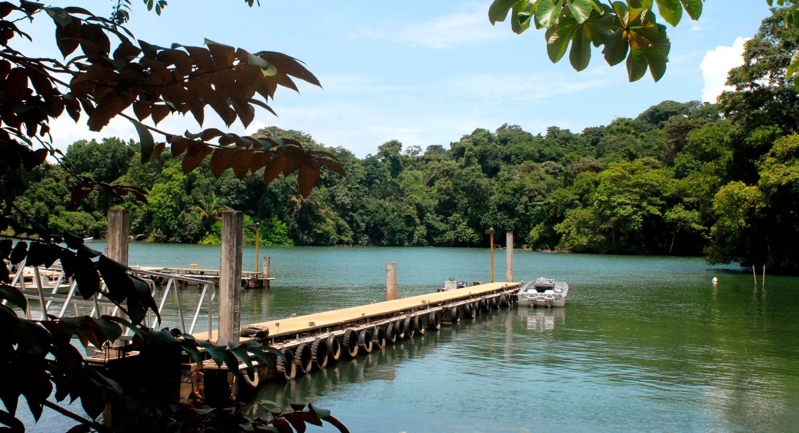 Vista de la isla Barro Colorado de Panamá. Un equipo internacional de allí detectó el camuflaje (EFE/Alejandro Bolívar/Archivo)