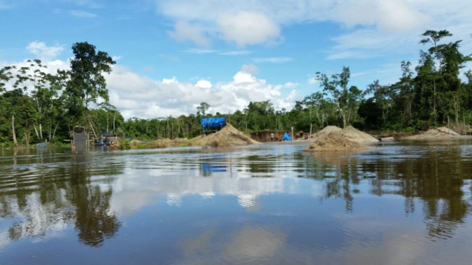 Los insectos de tierras bajas amazónicas muestran menor capacidad de adaptación térmica ante el aumento de temperaturas globales. (Imagen de archivo)