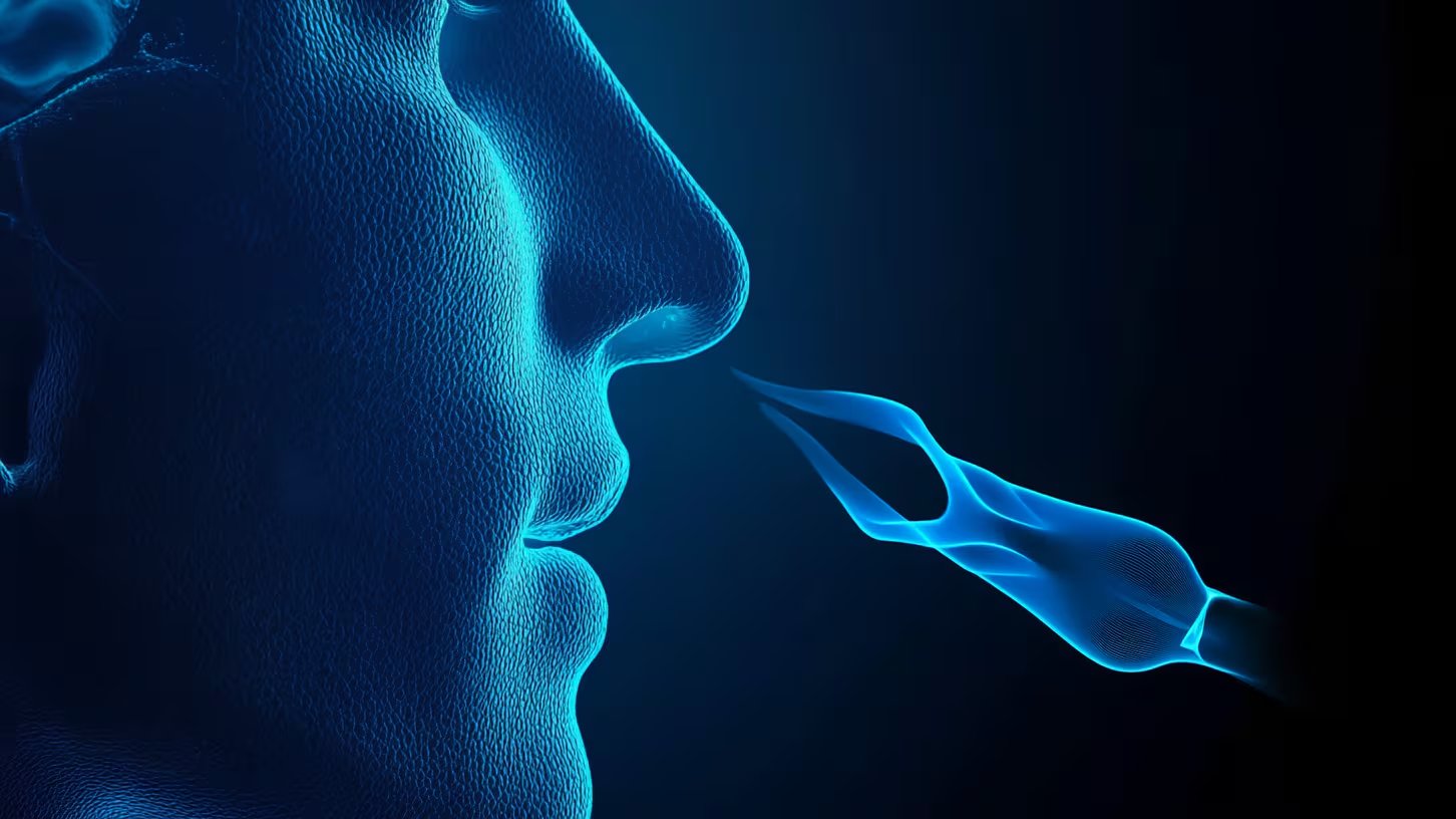 El recorrido olfativo se divide en tres fases enfocadas en la percepción de fragancias urbanas y la memoria (Imagen Ilustrativa Infobae)