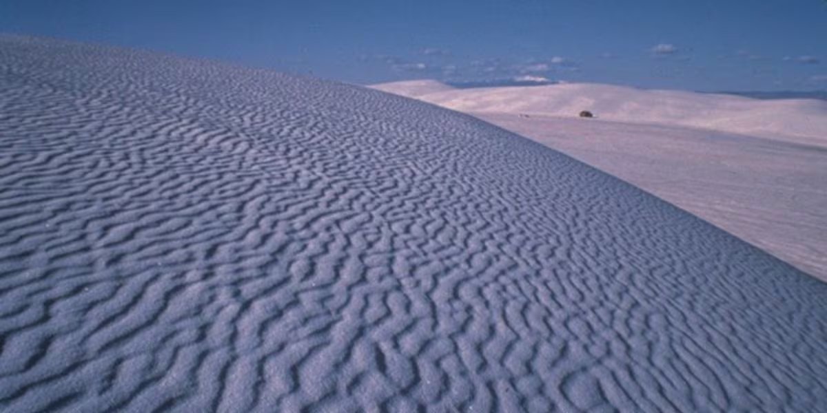 Las mejores épocas para viajar son la primavera y el otoño, con temperaturas agradables y menor afluencia, mientras que en verano predominan los extremos climáticos (Wikimedia Commons)