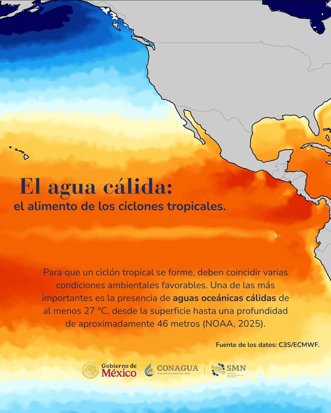 Este mapa ilustra la distribución de las temperaturas superficiales del océano Pacífico, resaltando cómo las aguas cálidas son un factor crucial para el desarrollo y la intensificación de ciclones tropicales. (Servicio Meteorológico Nacional)