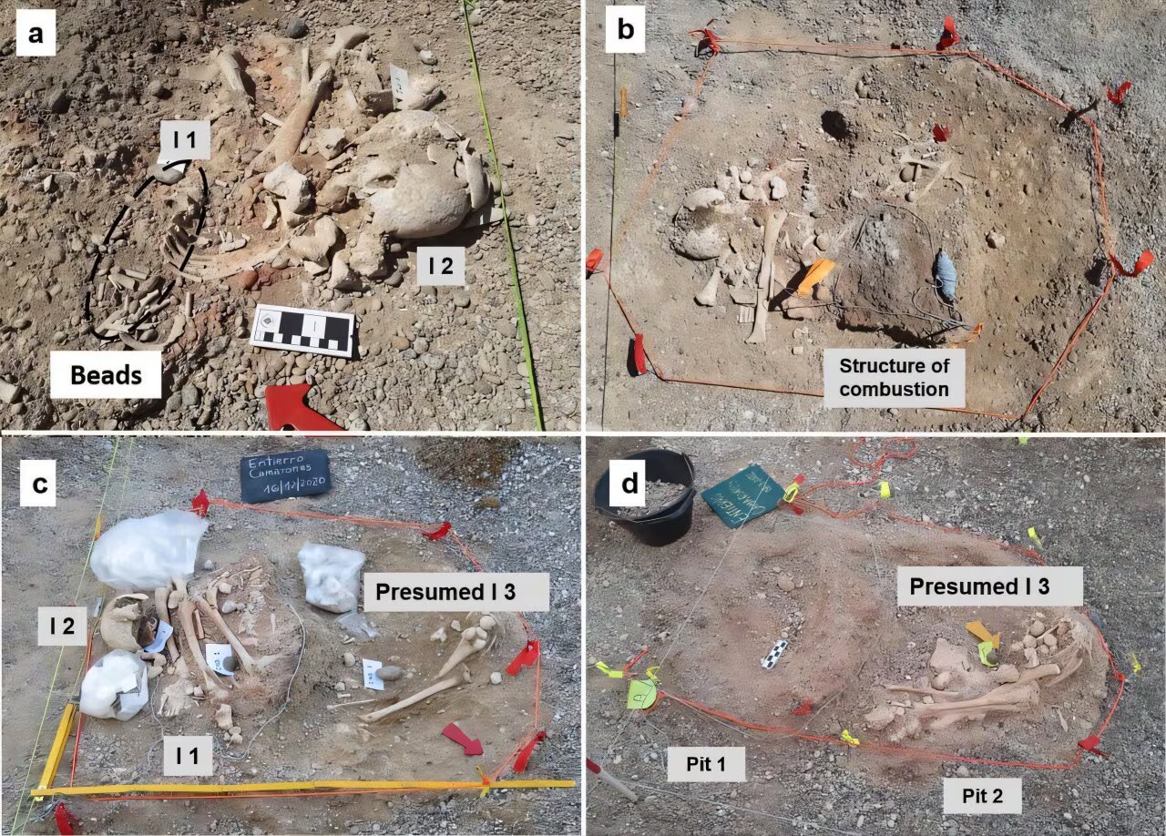 Primera etapa, excavación inicial, luego se identificó una estructura de combustión, en la segunda etapa se observó a los individuos hallados y en la tercera, las dos fosas funerarias (Otero et al. 2026)