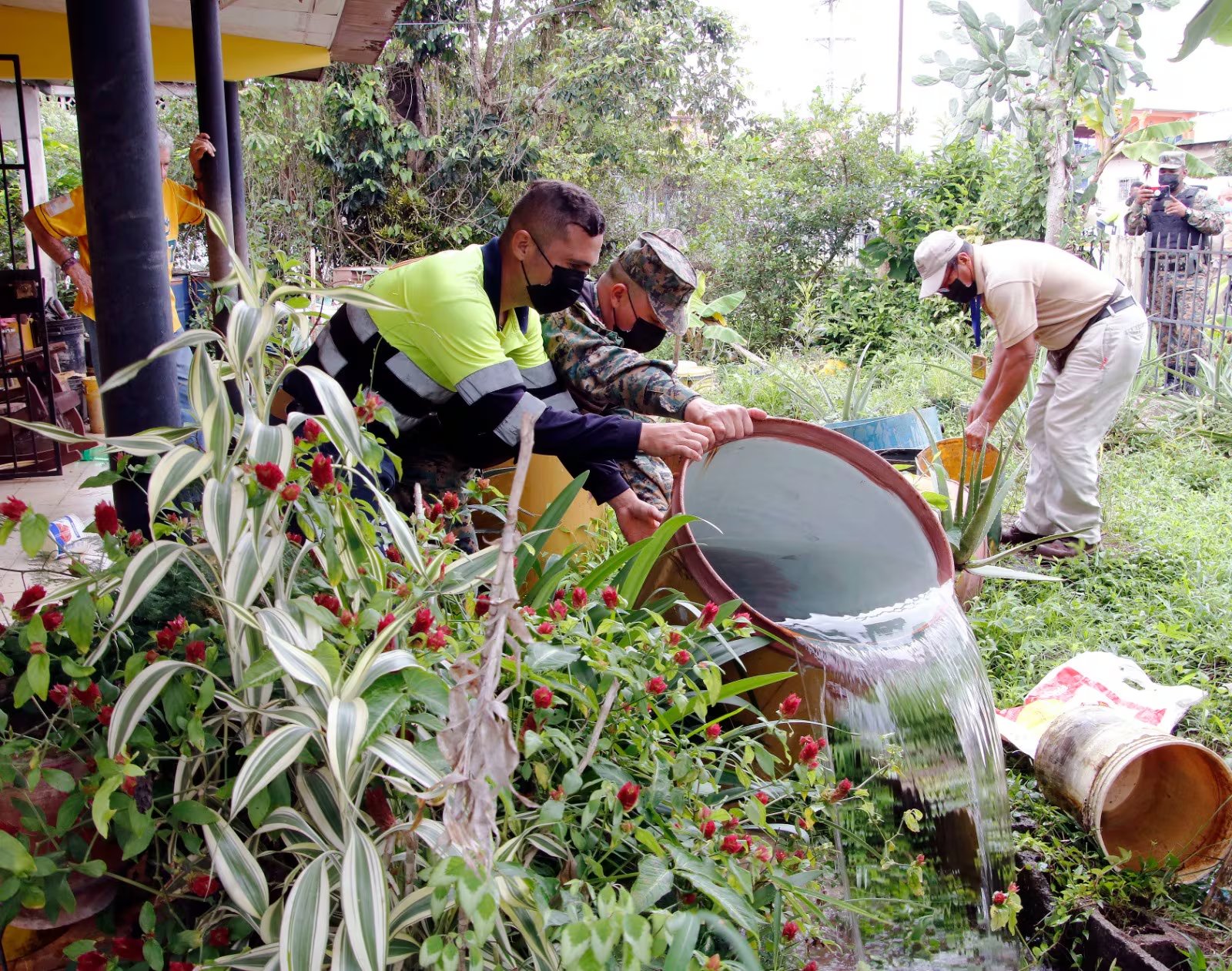 Las autoridades sanitarias piden a la población eliminar los criaderos del mosquito que transmite el dengue. Cortesía