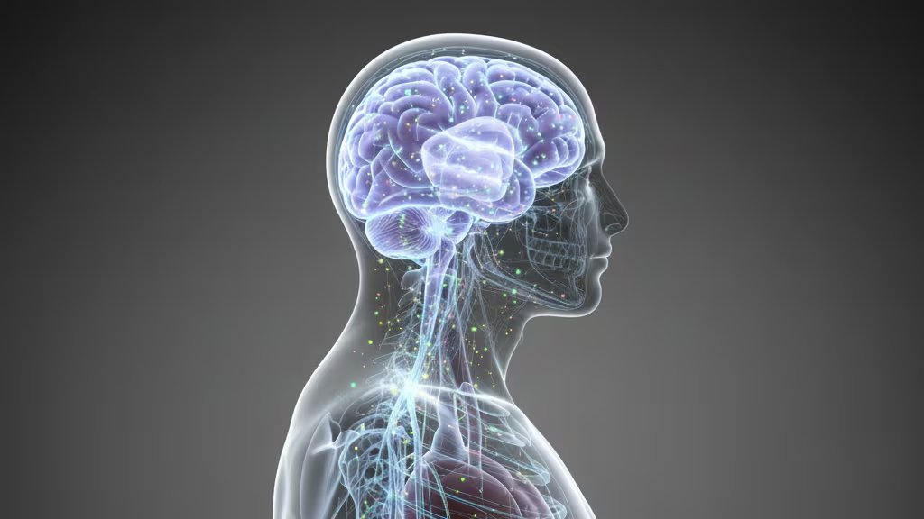 El estudio, publicado en Nature Neuroscience, demuestra que el bulbo olfatorio es clave en el reconocimiento ultrarrápido de aromas (Imagen Ilustrativa Infobae)