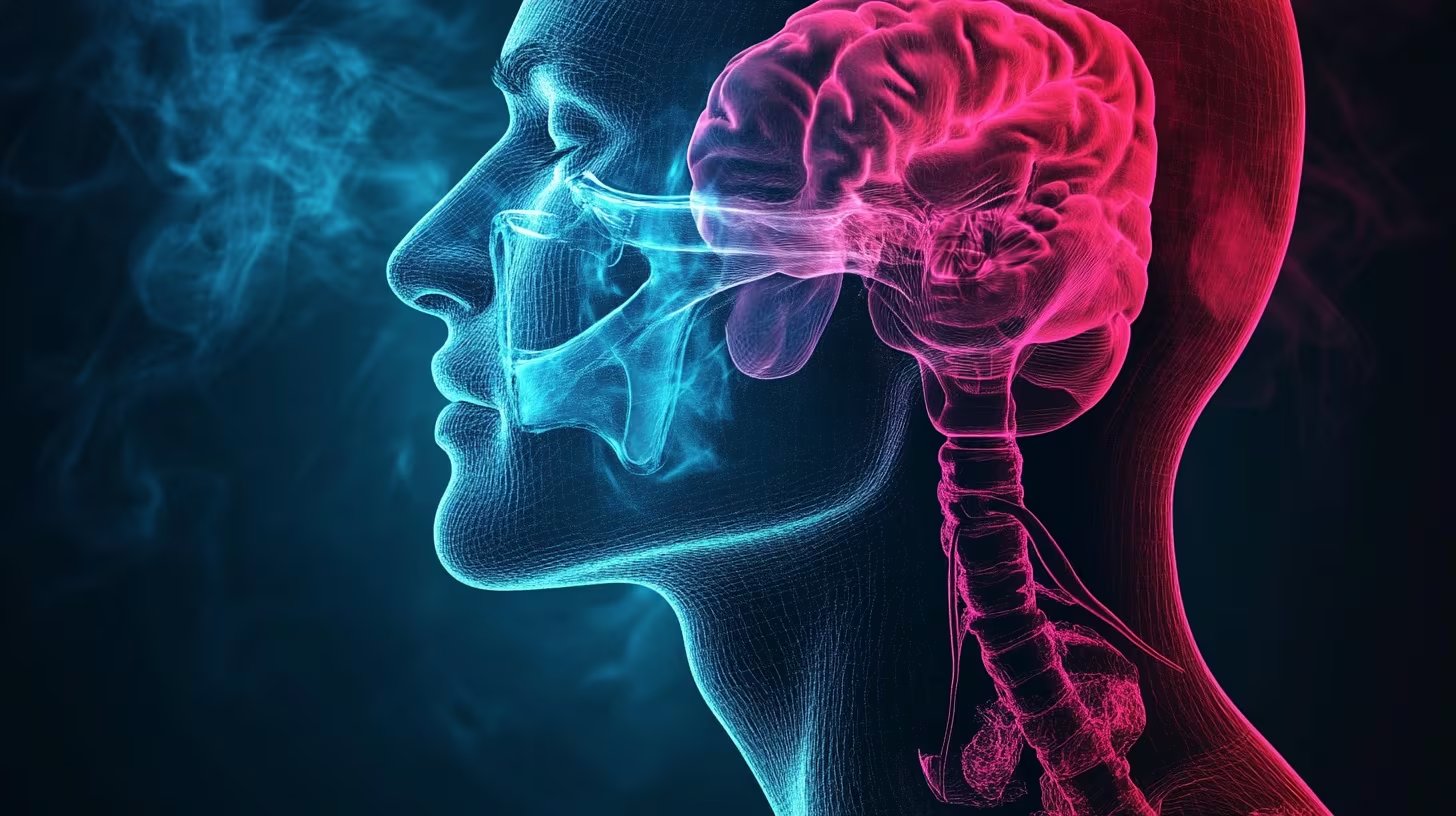 La investigación plantea dudas sobre el papel de la corteza cerebral y propone nuevas líneas de estudio sobre la diferenciación de olores similares (Imagen Ilustrativa Infobae)