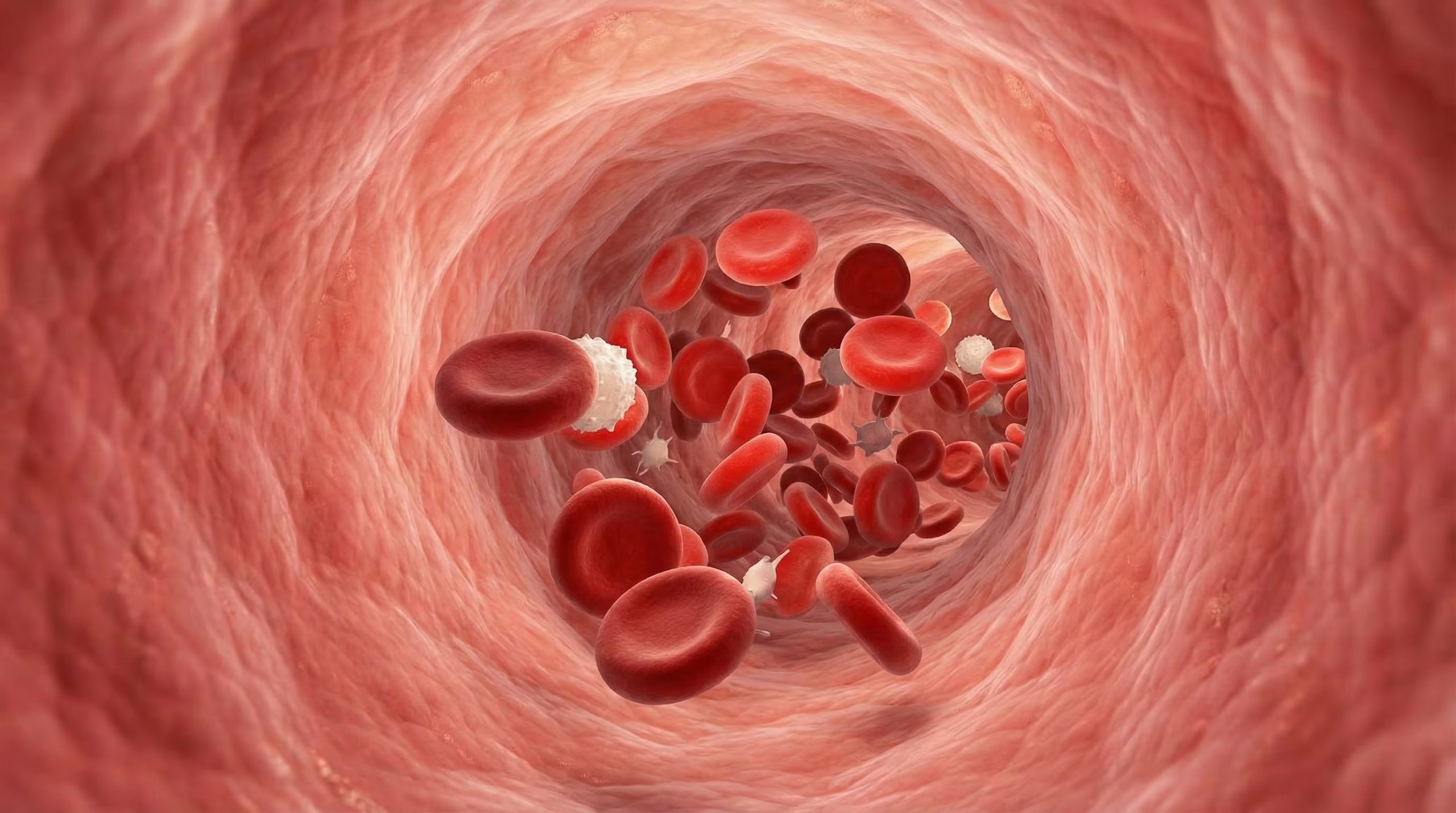 El marcador inmunológico, accesible en análisis de sangre comunes, permitiría identificar etapas tempranas de la enfermedad de Alzheimer (Imagen Ilustrativa Infobae)