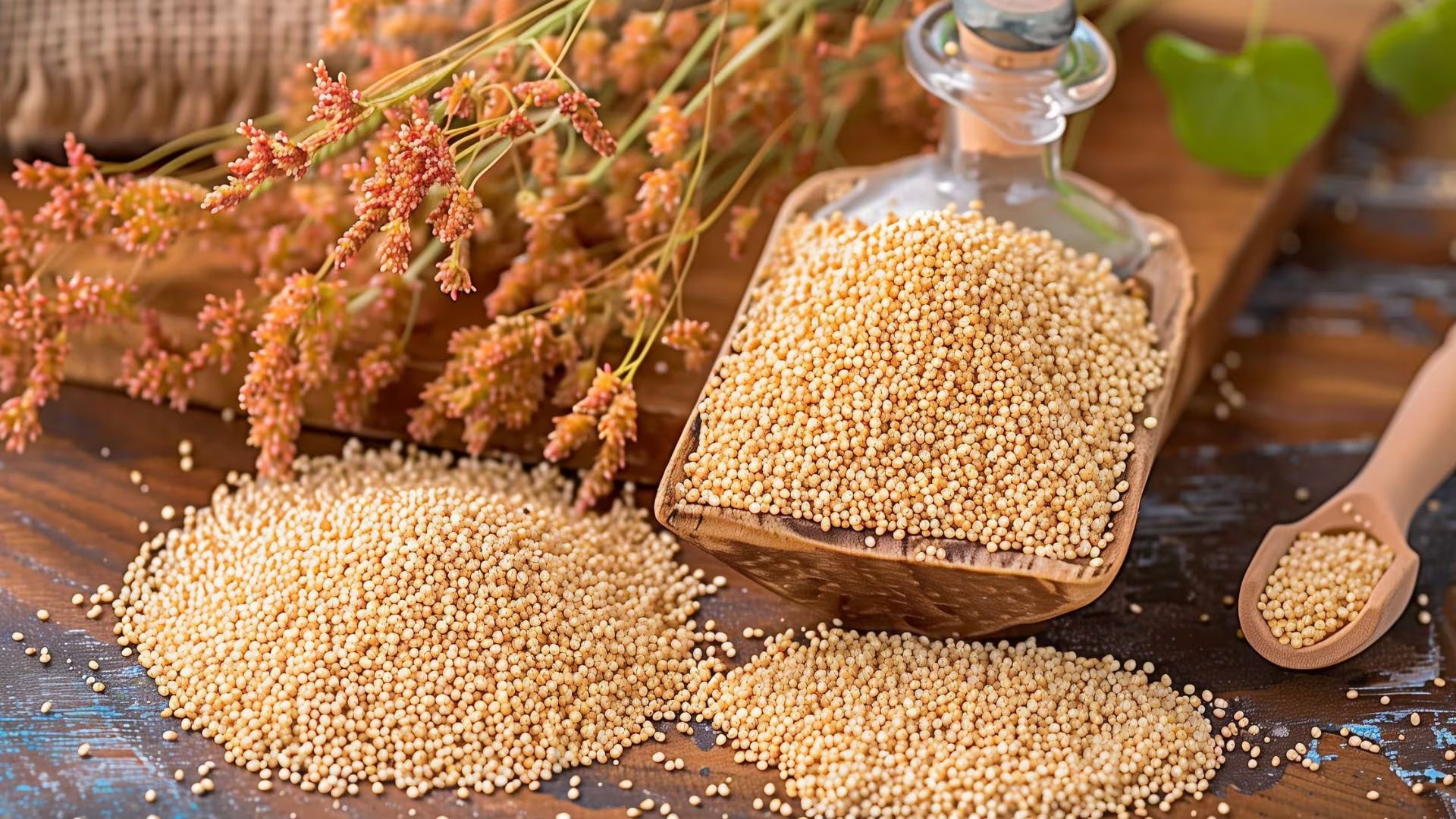 Consumir amaranto de manera regular tiene múltiples beneficios para la salud. (Imagen ilustrativa Infobae)