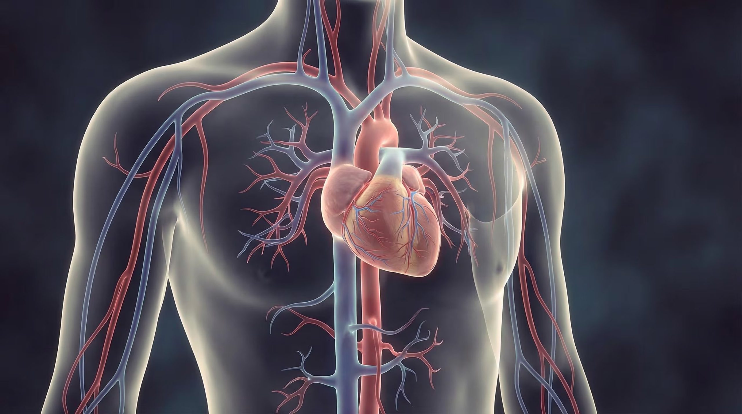 El consumo regular de aceite de oliva ayuda a reducir el colesterol LDL y aumentar el HDL, protegiendo la salud cardiovascular. (Imagen Ilustrativa Infobae)