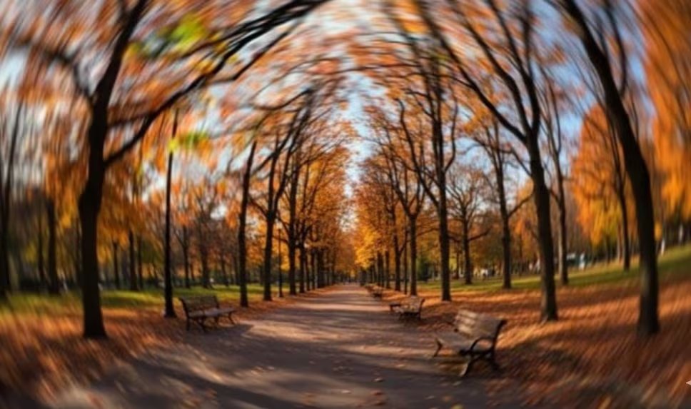 Los programas de rehabilitación personalizados ofrecen alternativas seguras a los medicamentos sedantes. (Imagen Ilustrativa Infobae)