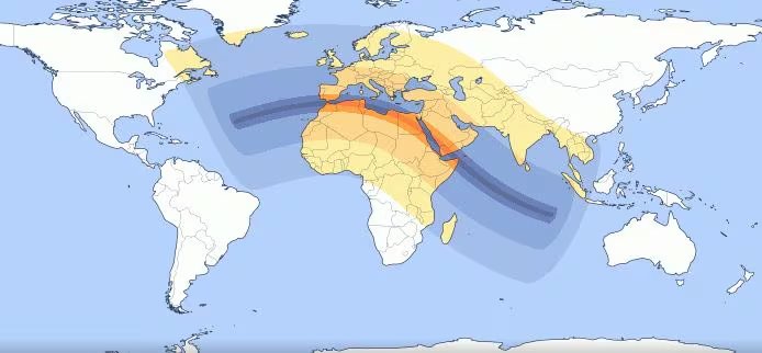 La franja de totalidad recorrerá España, Marruecos, Egipto, Arabia Saudita y otros países, llevando la oscuridad diurna a millones de observadores
