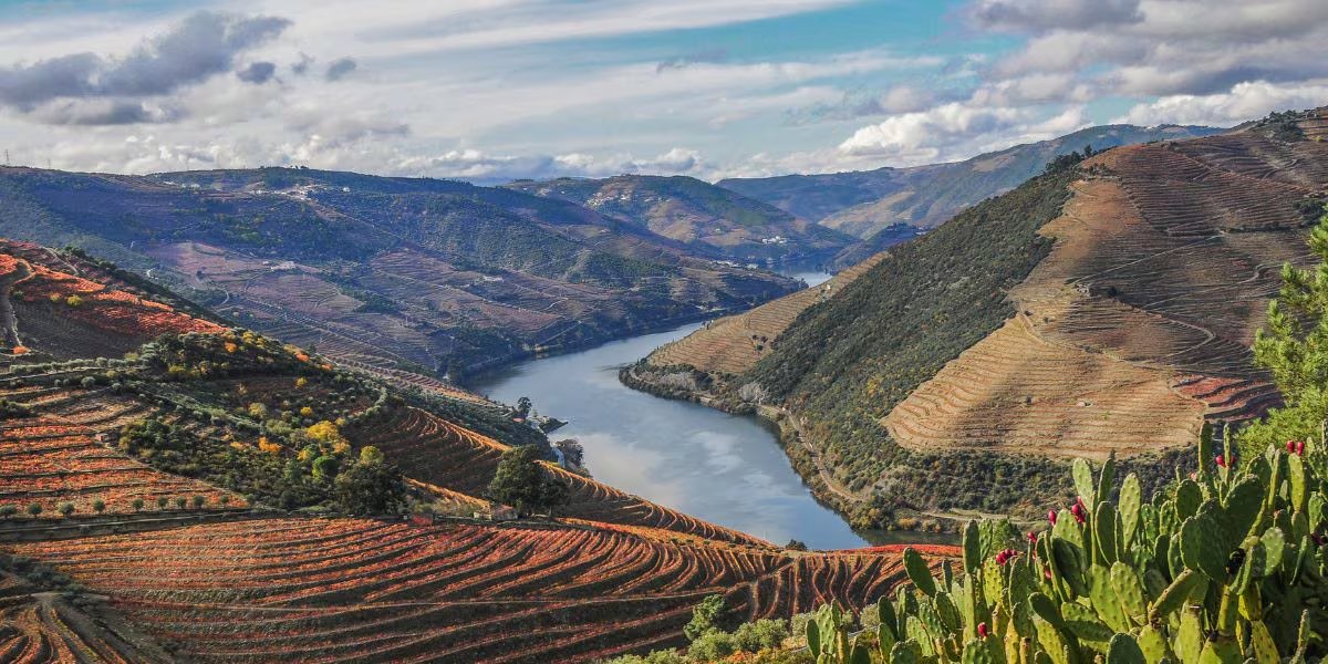 El Valle del Duero en Portugal, reconocido por la UNESCO, alberga viñedos centenarios y mantiene viva la tradición del vino de Oporto (Wikimedia Commons)