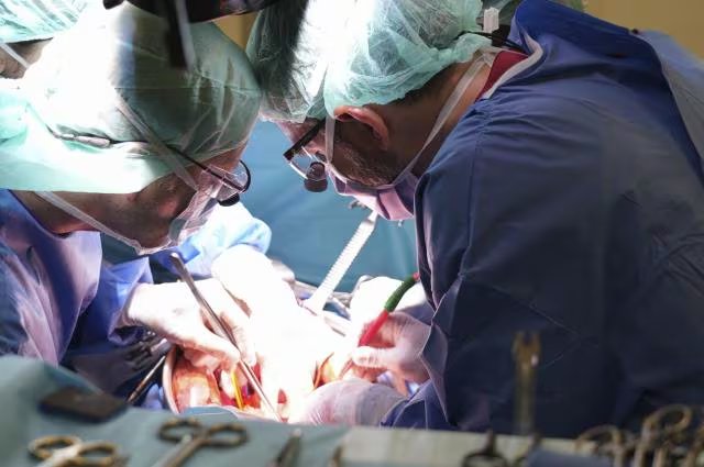 El equipo médico ha conseguido que la sangre siguiera circulando durante la operación gracias al doble bypass (Hospital de Bellvitge)