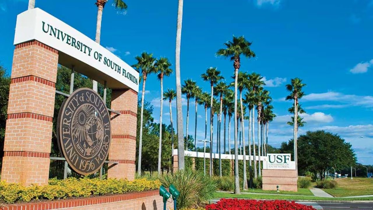 La desaparición de dos estudiantes de doctorado conmocionó a la comunidad universitaria en Tampa (Google Maps)