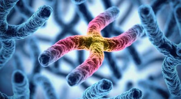 Los factores ambientales, sociales y políticos pueden influir en el envejecimiento cerebral tanto o más que la genética. (Imagen Ilustrativa Infobae)