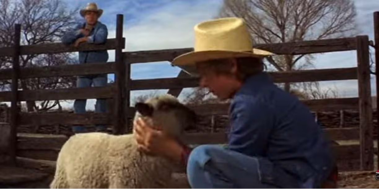 En la película Rage (1972) inspirada en el caso Dugway, no solo muere el ganado sino también el hijo del protagonista