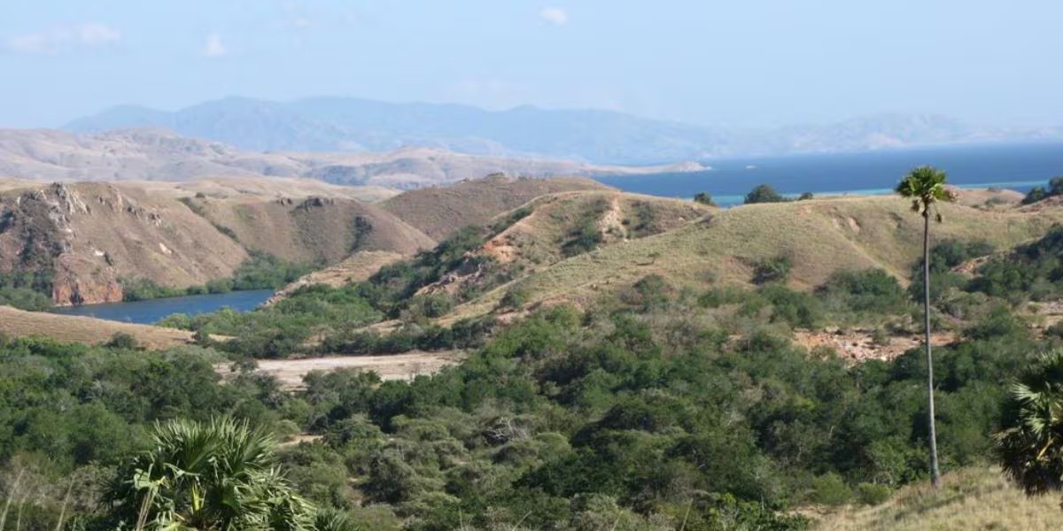 Wallacea, la zona de transición biogeográfica en las Islas Menores de Sonda, favorece la evolución de especies endémicas y biodiversidad incomparable (Wikipedia)