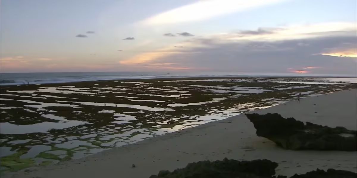 La riqueza marina de las Islas Menores de Sonda ofrece arrecifes de coral y aguas cristalinas ideales para el buceo y el esnórquel (Captura/YouTube)