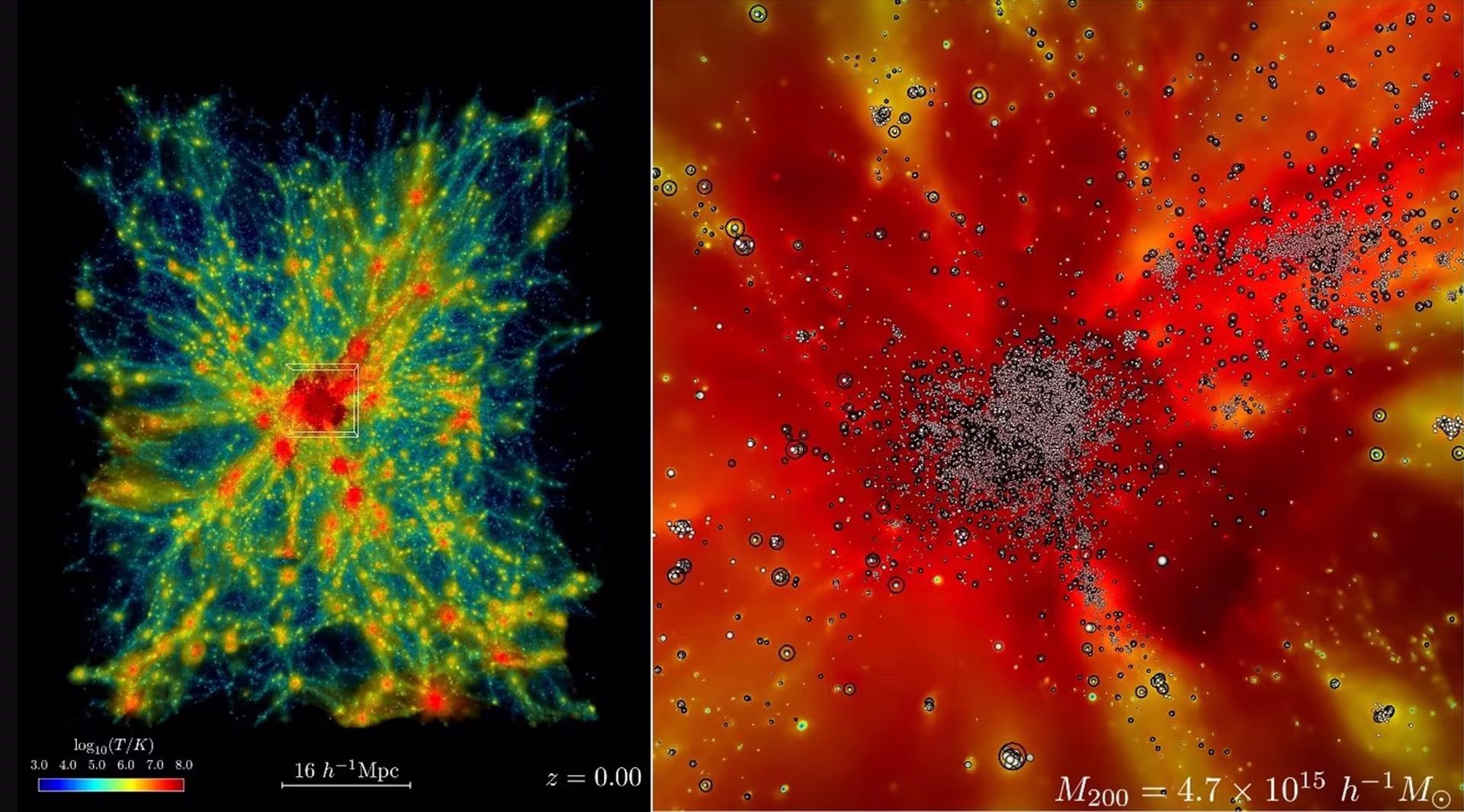 Simulaciones de Frontier revela la evolución del universo en expansión en una región que contiene un cúmulo masivo de galaxias desde hace miles de millones de años hasta la actualidad (izquierda). (OAK RIDGE NATIONAL LABORATORY)
