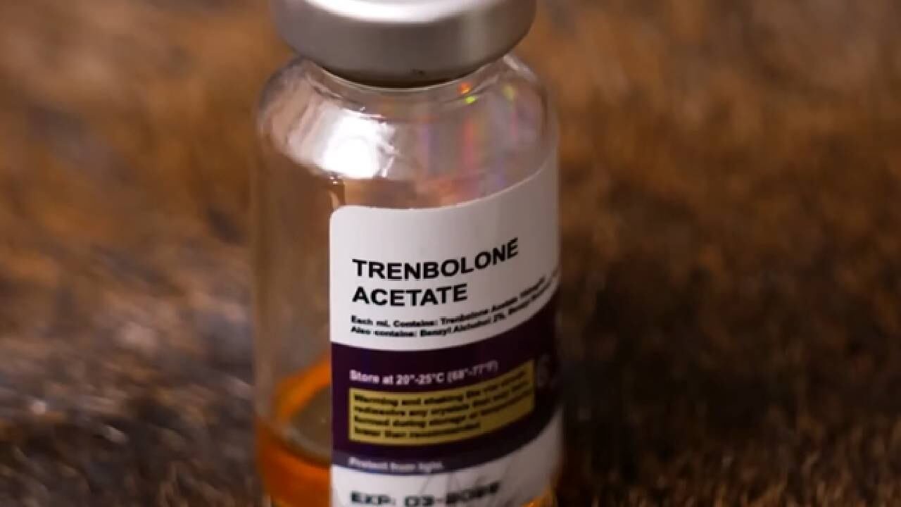El trenbolone, fármaco vetado para humanos y de uso veterinario, se vuelve tendencia entre adolescentes pese a sus riesgos severos, según la Agencia Antidrogas. (CBS News)