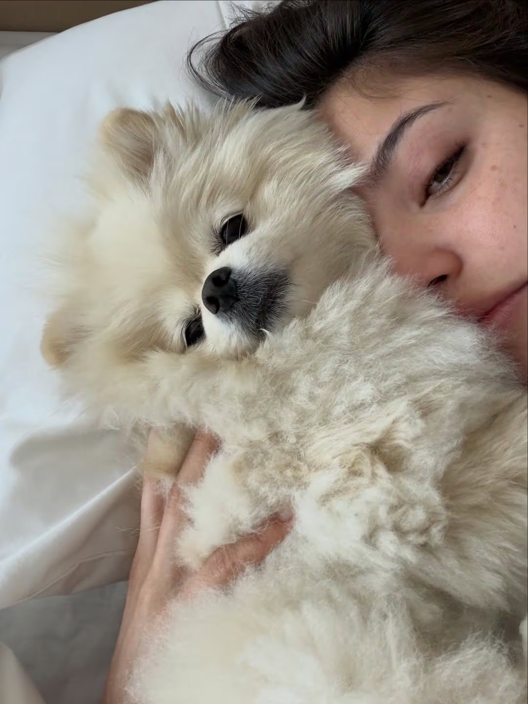 Emilia y su perra, una postal que refleja tranquilidad en medio del escándalo