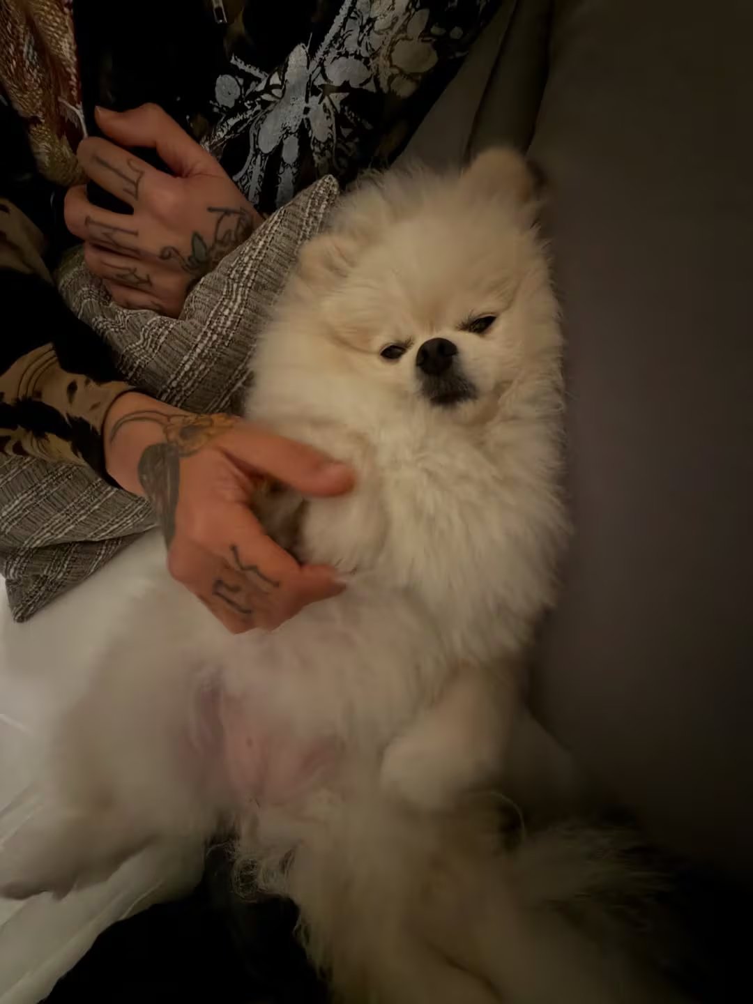 El posteo de Emilia Mernes llegó días después de especulaciones sobre conflictos en redes y caída en cantidad de seguidores, marcando su regreso al ojo público