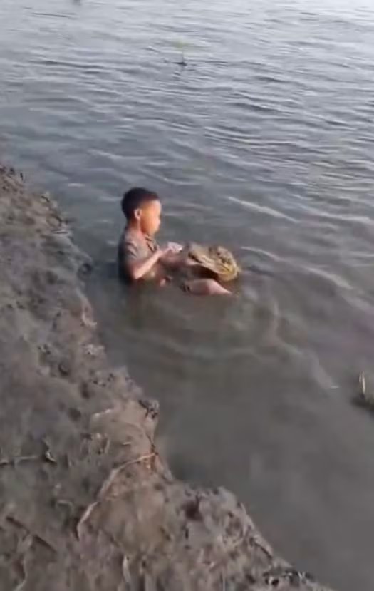 El curioso video de Heimer y el caimán Enrique desata debate sobre la convivencia con animales silvestres en Colombia - crédito captura de pantalla @narcoblogger/X