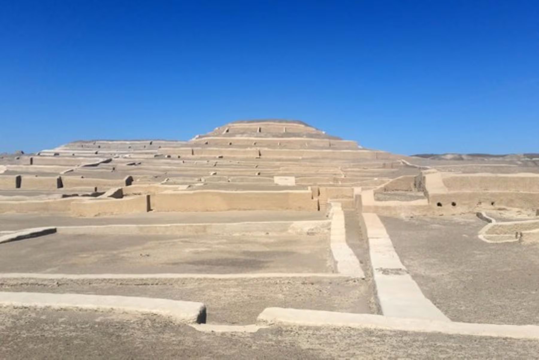 Sernanp resalta la necesidad de continuar con inventarios biológicos que revelen especies endémicas en ambientes frágiles de Perú. (Andina)