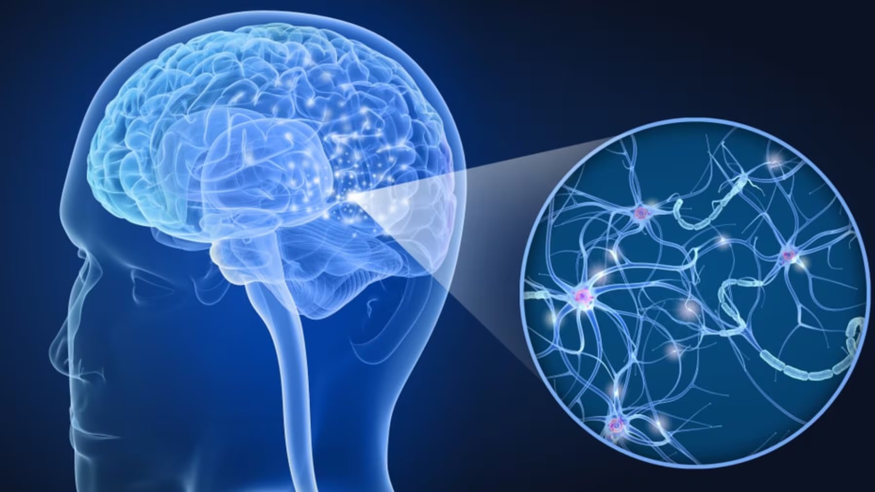 La progresión silenciosa de la esclerosis múltiple se convirtió en el principal desafío médico para quienes conviven con esta enfermedad, los diagnosticados - crédito VisualesIA