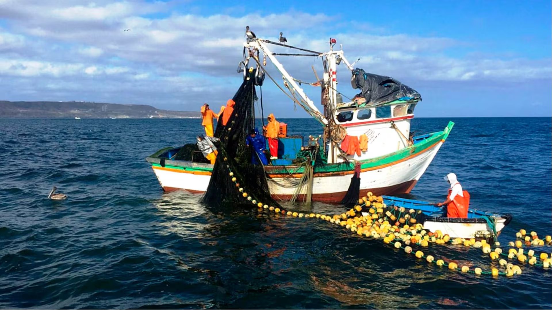 Nuevas disposiciones de Ministerio de la Producción regulan pesca de jurel y bonito hasta abril. (Foto: Ministerio de la Producción)