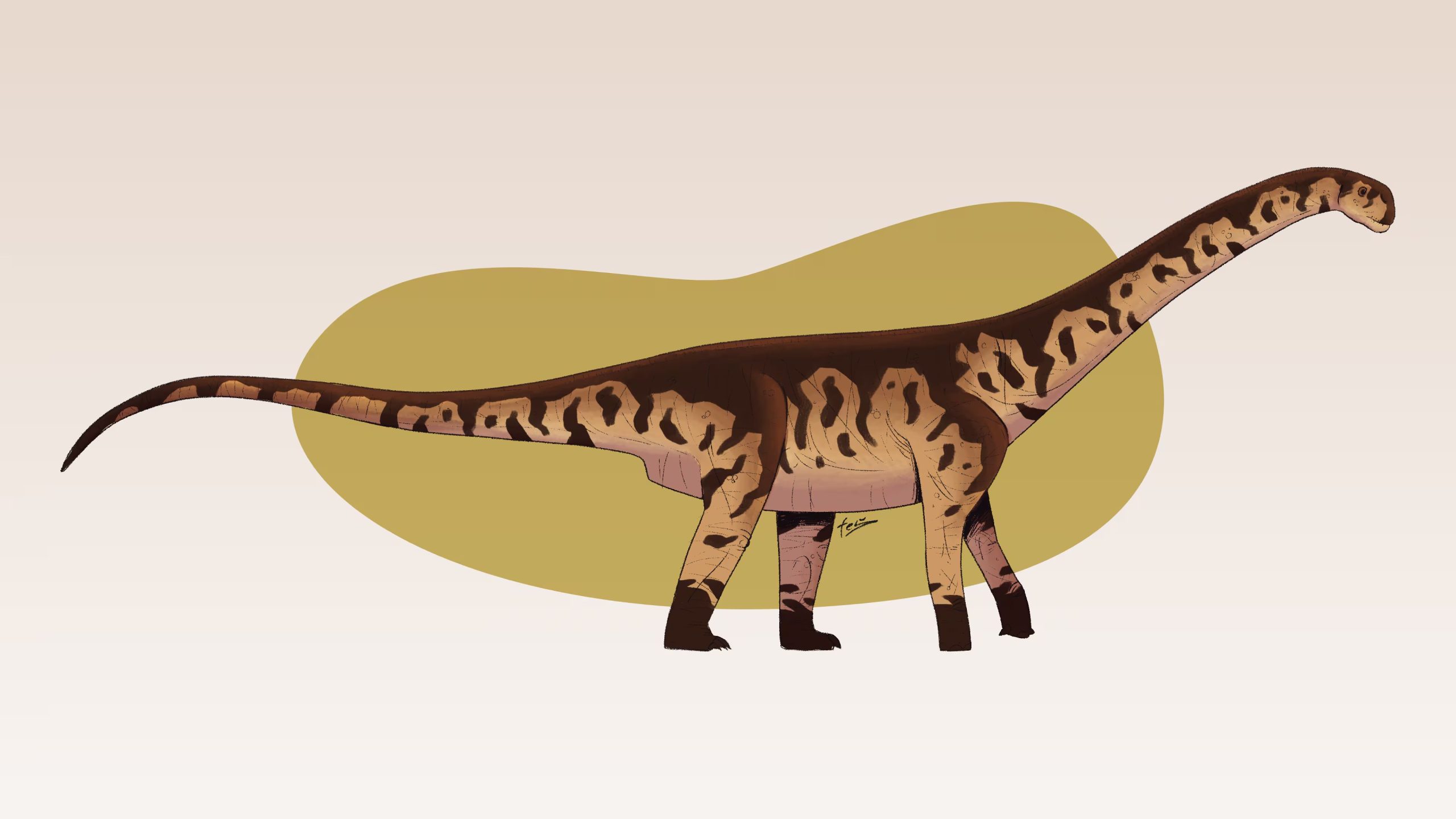 El dinosaurio medía entre 15 y 20 metros de largo y pesaba cerca de 20 toneladas (MEF Chubut)