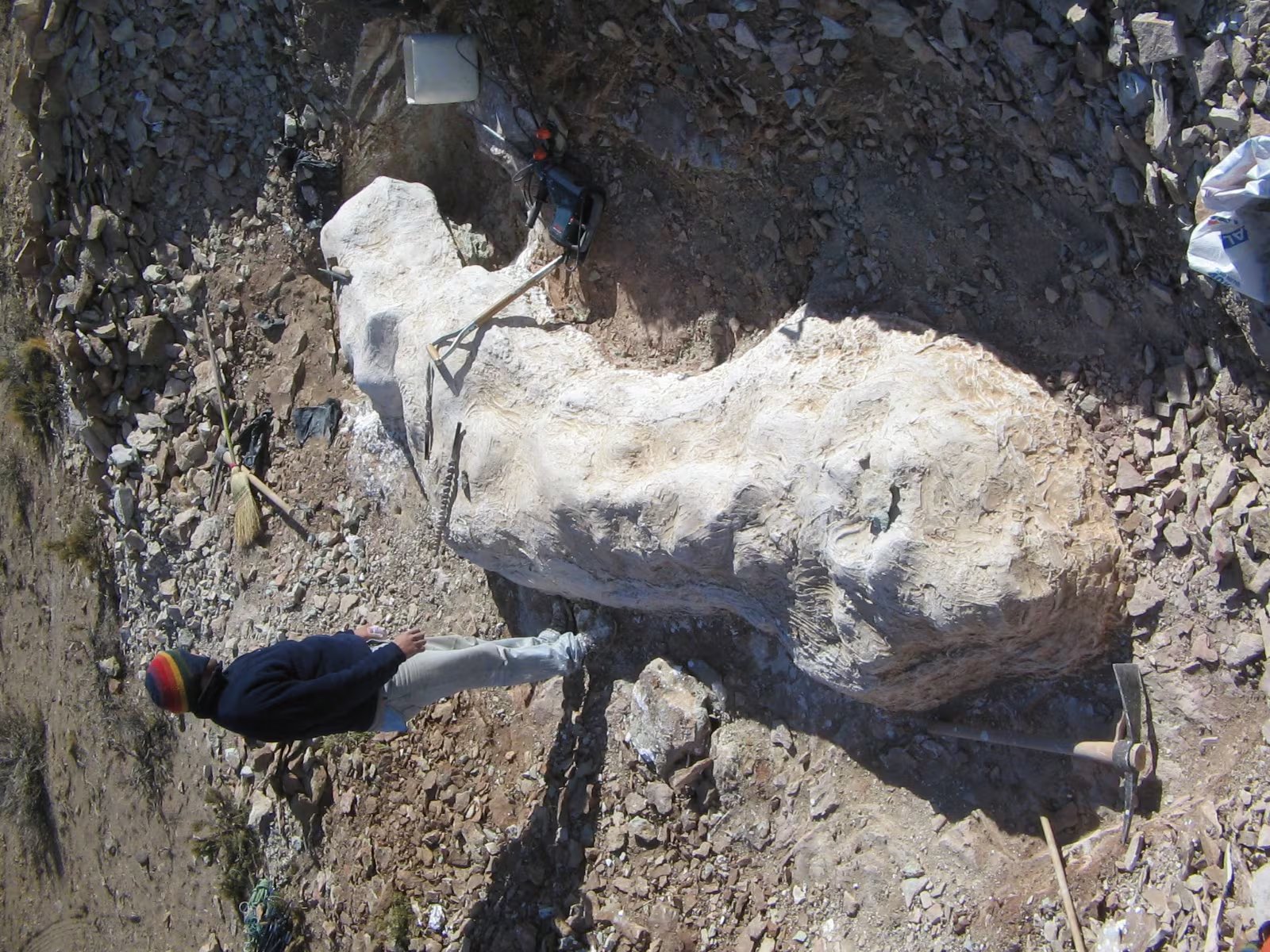 Los huesos tienen una antigüedad estimada de 155 a 160 millones de años, correspondiendo al Jurásico Superior (MEF Chubut)