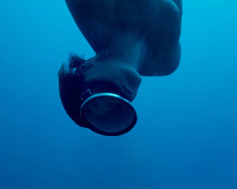 La película logra capturar en una sola oportunidad cada escena clave, debido a las peligrosas condiciones de profundidad y las limitaciones de aire