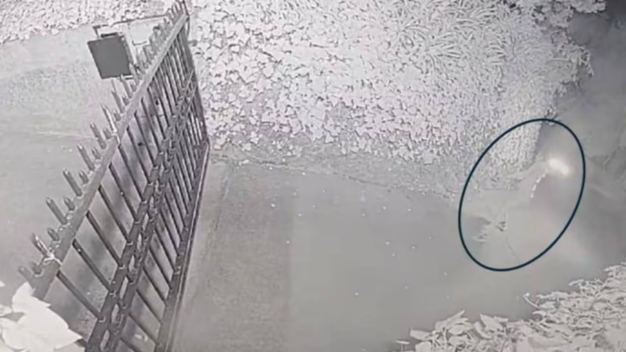 La acusación contra Daniel Moreno-Gama incluye intento de asesinato e incendio tras atacar la residencia de Sam Altman en San Francisco. (U.S. District Court)