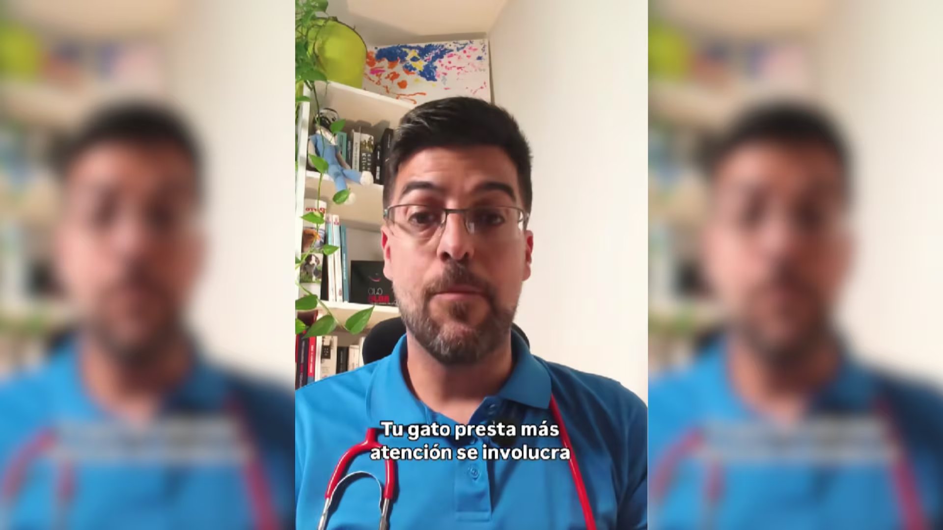 Juanjo, veterinario. (@juanjovetmascotas/X)