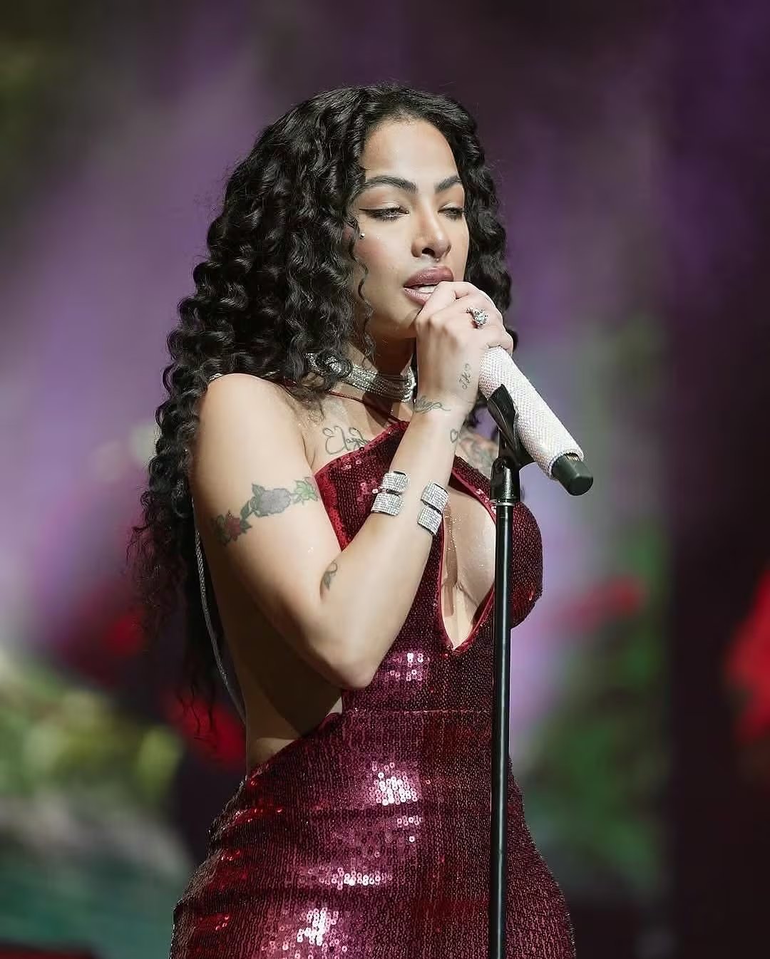 La cantante dominicana continuó el show profesionalmente tras ser atacada por un perro - crédito @rechismes/Instagram