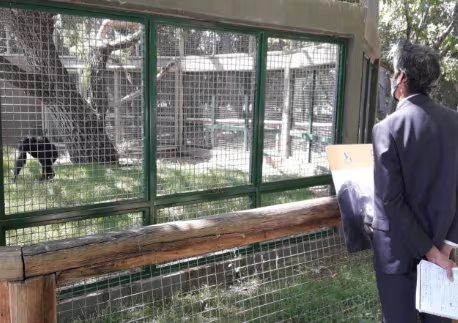 El fallo judicial quedó firme tras la intervención de la Corte Suprema de Justicia de la Nación y habilitó la ejecución del traslado internacional
 (Min. Público de Río Negro)