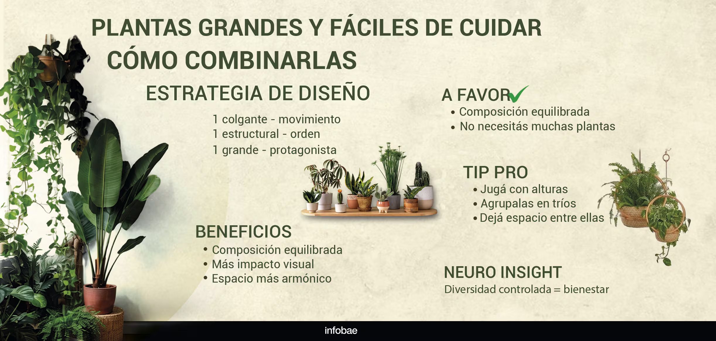 Transformar el hogar con naturaleza viva no es solo una decisión estética, sino un cambio emocional que influye en el estado de ánimo diario