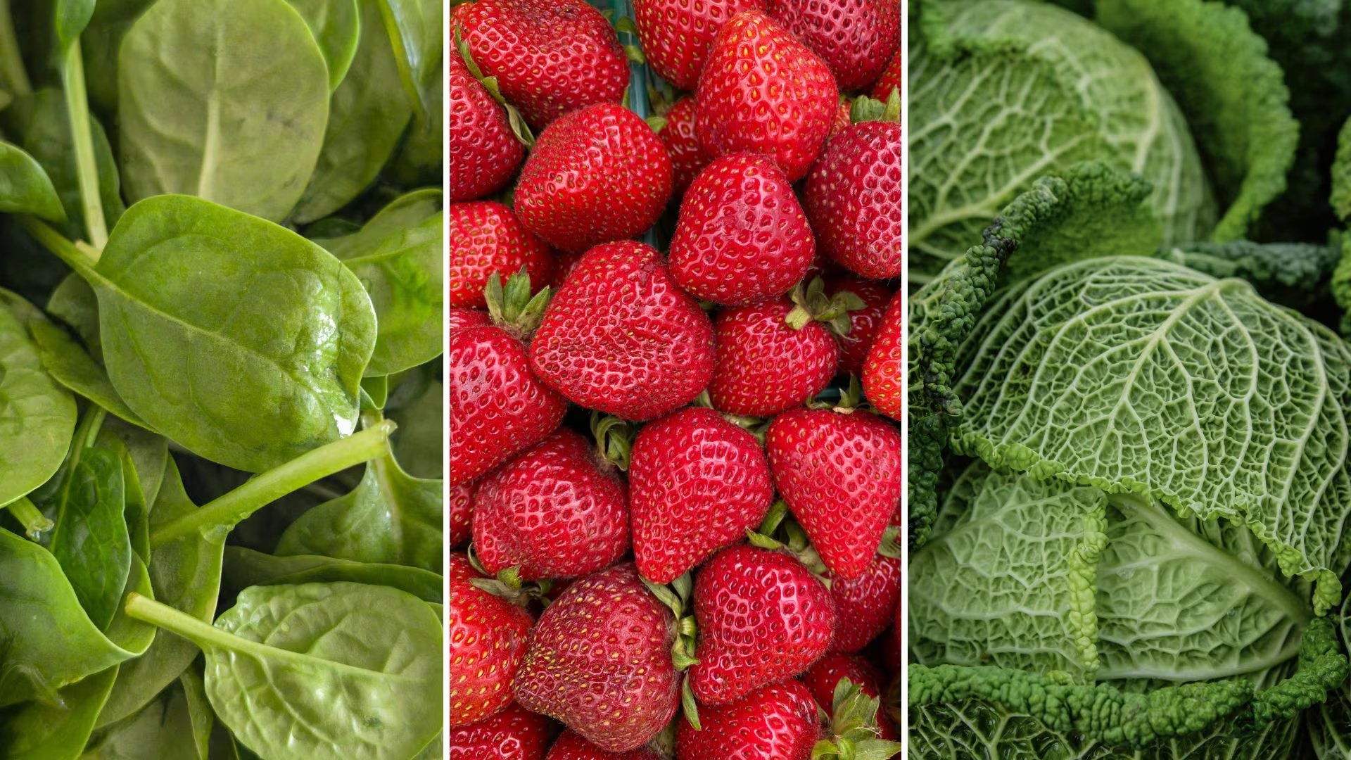 Top 3 de las 12 frutas y verduras que encabezan este año la lista de productos agrícolas con mayores niveles de residuos de pesticidas (Montaje Infobae)