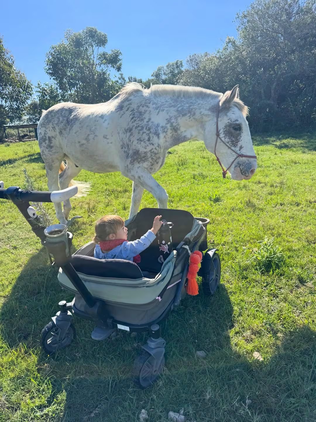 Bee, la hija de Calu Rivero, observa con curiosidad a la yegua desde su cochecito en un soleado campo de Uruguay (Instagram)